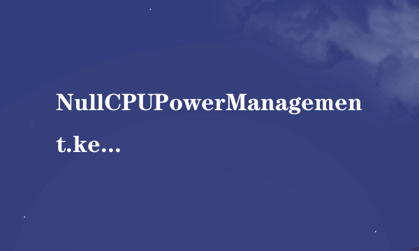 NullCPUPowerManagement.kext 是文件还是文件夹