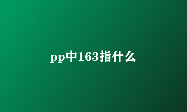 pp中163指什么