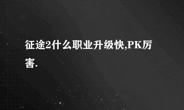 征途2什么职业升级快,PK厉害.