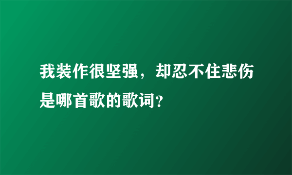我装作很坚强，却忍不住悲伤是哪首歌的歌词？