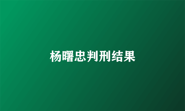 杨曙忠判刑结果