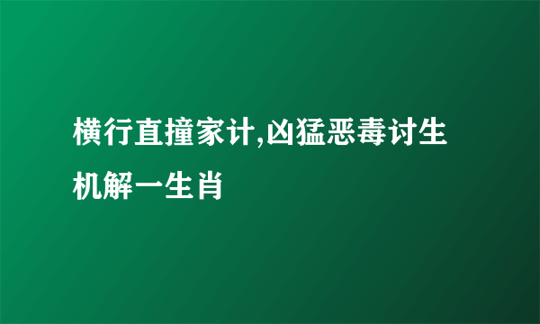 横行直撞家计,凶猛恶毒讨生机解一生肖
