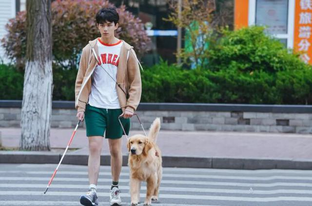 解锁《宠爱》吴磊张子枫新姿势“劈叉抱”？