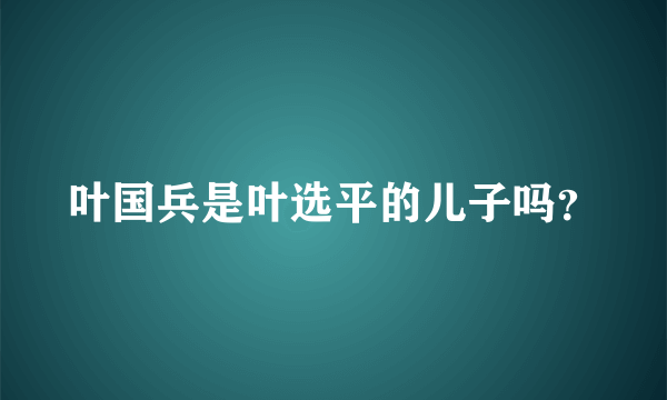 叶国兵是叶选平的儿子吗？