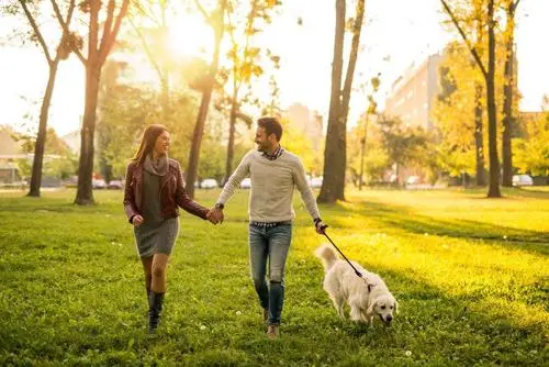 外国夫妻在上海出门遛狗,阿姨硬核劝说,她具体是怎么劝说的?