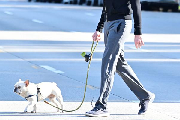 新华社五问安阳狗咬人事件,该事件的背后反映了哪些问题?