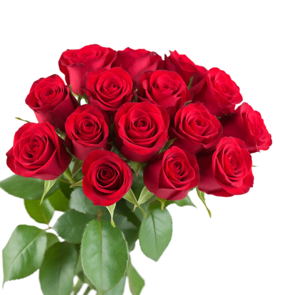 29朵红玫瑰花的花语是什么