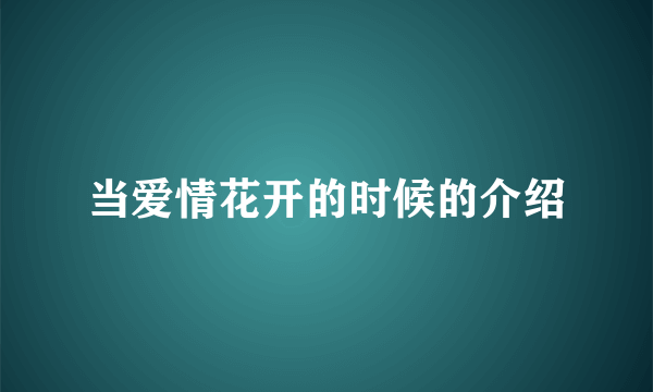 当爱情花开的时候的介绍