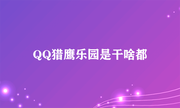 QQ猎鹰乐园是干啥都