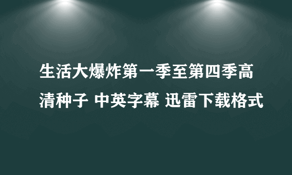 生活大爆炸第一季至第四季高清种子 中英字幕 迅雷下载格式