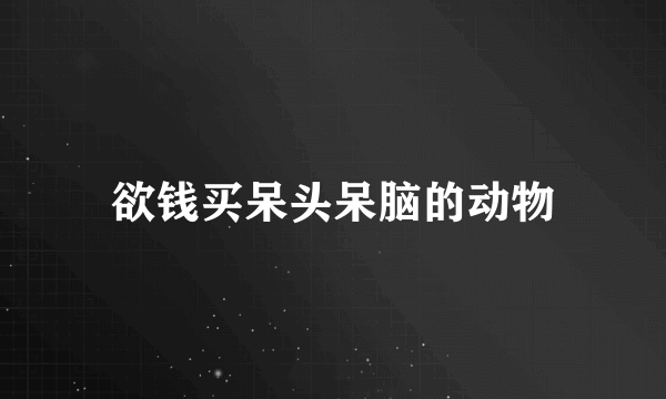 欲钱买呆头呆脑的动物