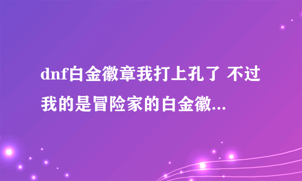dnf白金徽章我打上孔了 不过我的是冒险家的白金徽章 怎么镶嵌不上啊