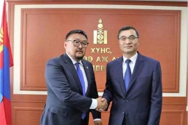 蒙古国正式启动三万只羊捐赠程序，这些羊何去何从？