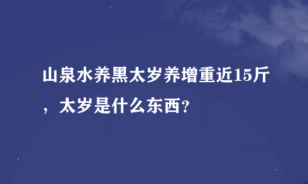 山泉水养黑太岁养增重近15斤,太岁是什么东西?