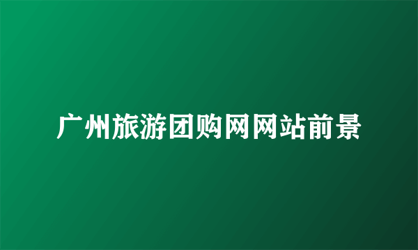 广州旅游团购网网站前景