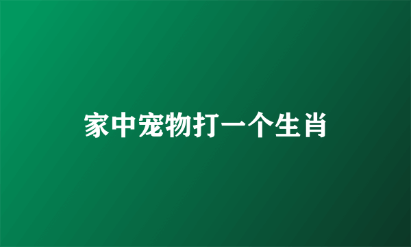 家中宠物打一个生肖