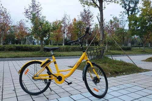 两名清华学生接力状告ofo均败诉，为何没有诉讼成功？