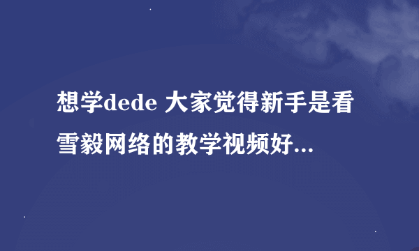 想学dede 大家觉得新手是看雪毅网络的教学视频好 还是看龙书浩的？那个讲的比较容易让人理解？