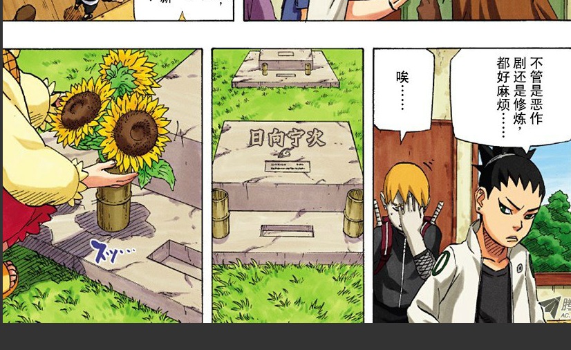 火影忍者的大结局是什么？