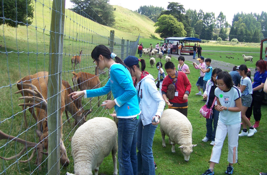 县令捕蝗文言文翻译