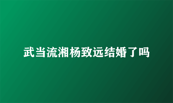 武当流湘杨致远结婚了吗