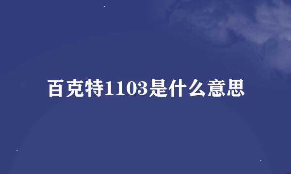 百克特1103是什么意思