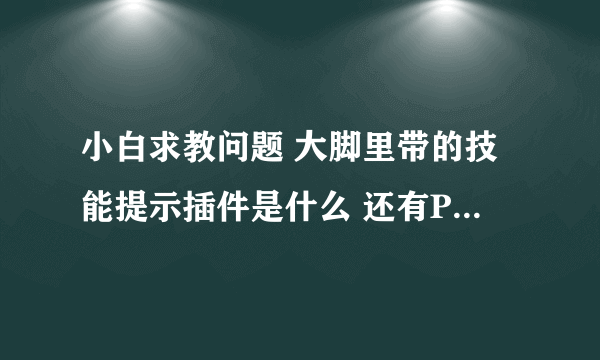 小白求教问题 大脚里带的技能提示插件是什么 还有POWA和Power Auras是一个插件吗