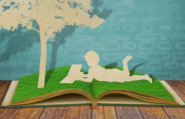 选作是什么意思