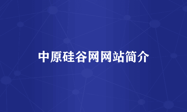 中原硅谷网网站简介