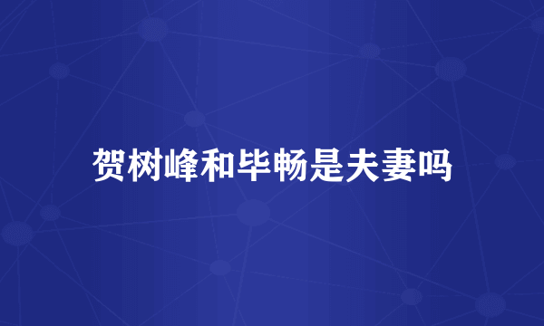 贺树峰和毕畅是夫妻吗