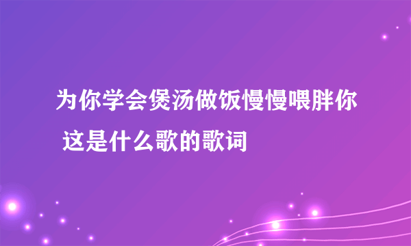为你学会煲汤做饭慢慢喂胖你 这是什么歌的歌词