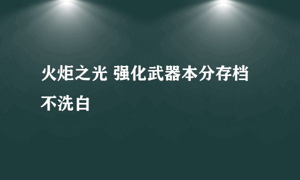 火炬之光 强化武器本分存档 不洗白