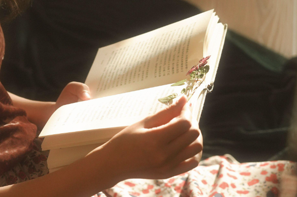 以爱为营点映礼是什么