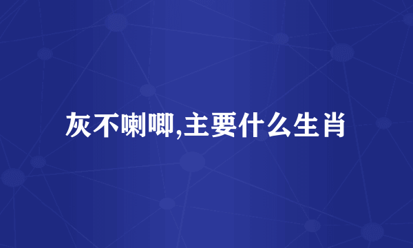 灰不喇唧,主要什么生肖