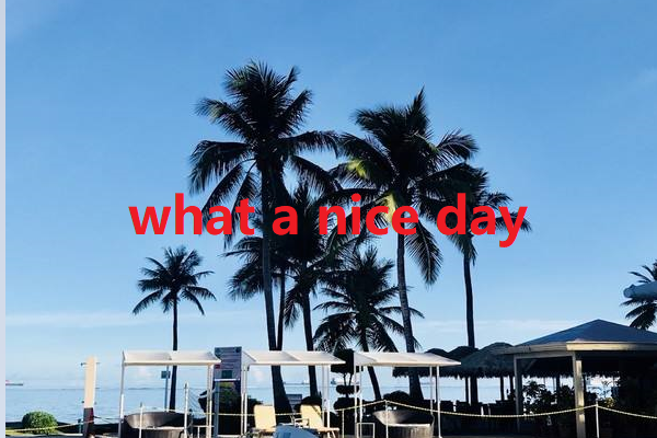 what a fucking day什么意思