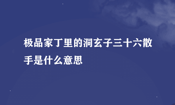 极品家丁里的洞玄子三十六散手是什么意思