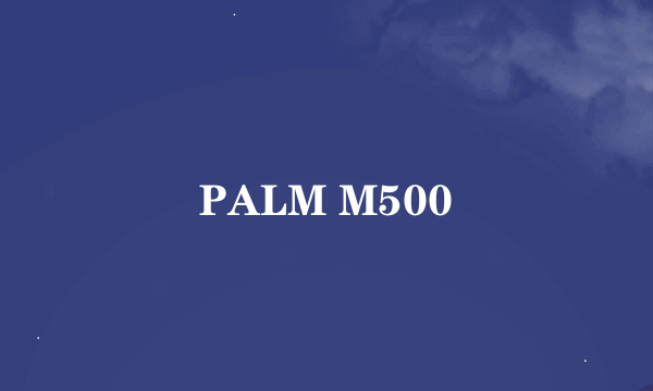 PALM M500