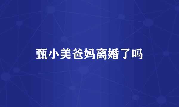 甄小美爸妈离婚了吗