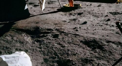 人类首次登月采集的部分月尘被蟑螂吃了，蟑螂吃后有何反映？