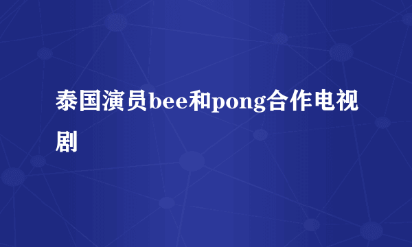 泰国演员bee和pong合作电视剧