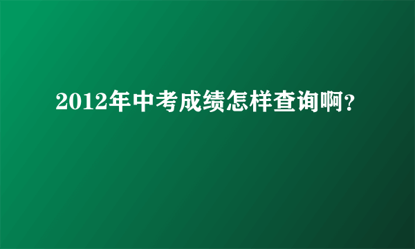 2012年中考成绩怎样查询啊？