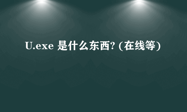 U.exe 是什么东西? (在线等)