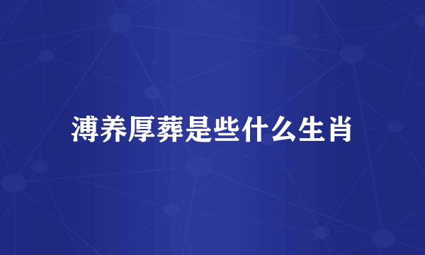 溥养厚葬是些什么生肖