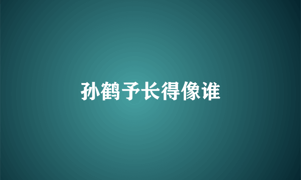 孙鹤予长得像谁