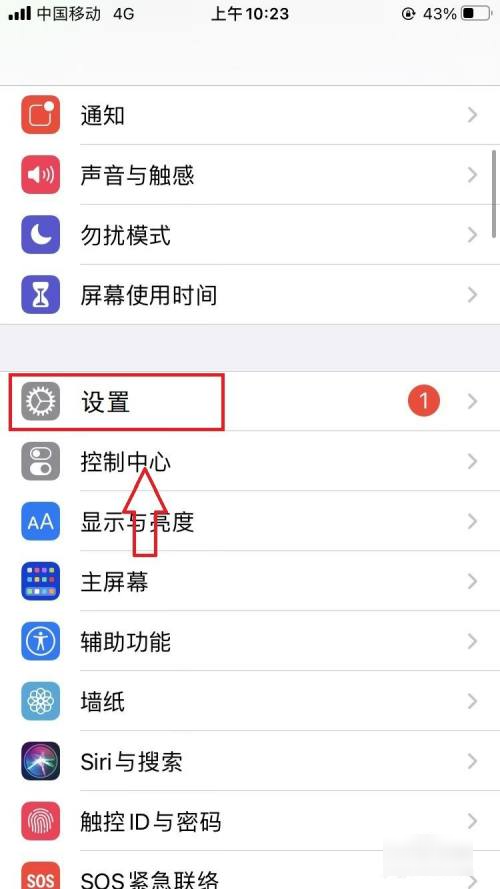 红猫大本营在哪里观看