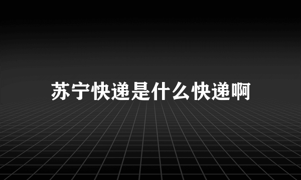 苏宁快递是什么快递啊