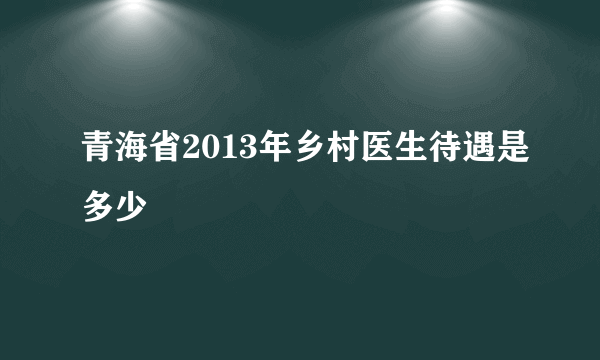 青海省2013年乡村医生待遇是多少