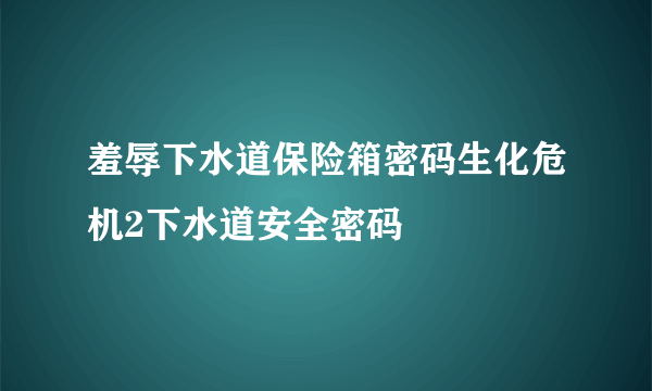 羞辱下水道保险箱密码生化危机2下水道安全密码