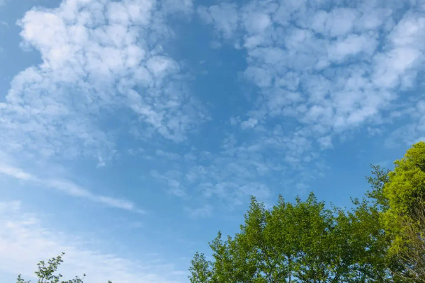 我们不急慢一点久一点真一点下一句