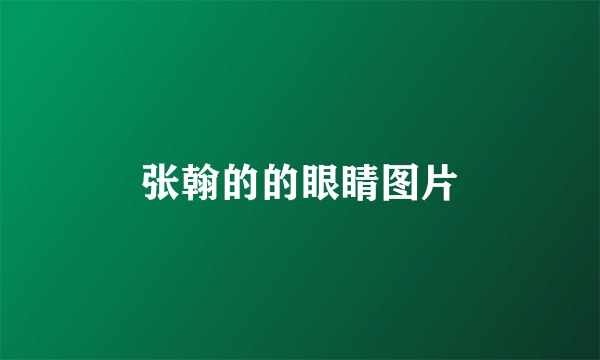 张翰的的眼睛图片